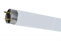 Sylvania 32 Watt Medium Bi Pin Base 48 In T8 Linear Fluorescent Tube in dimensions 900 X 900