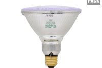 Sylvania 60 Watt Halogen Par38 Flood Light Bulb 6 Pack 167400 inside measurements 1000 X 1000