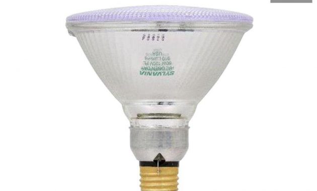 Sylvania 60 Watt Halogen Par38 Flood Light Bulb 6 Pack 167400 inside measurements 1000 X 1000