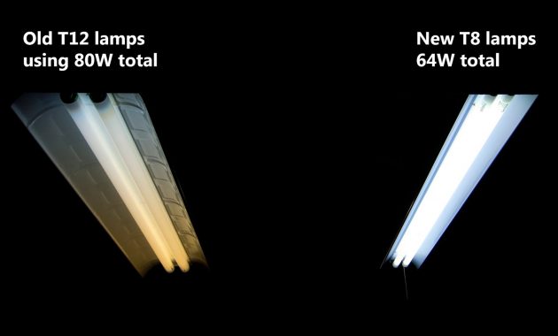 T8 Vs T12 Lights Wwwlightneasy inside measurements 1600 X 1066