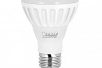 The Brightest Led Bulb Overall The Feit Br40 Led Bulb Is Currently in size 944 X 944