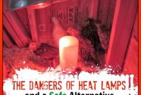 The Dangers Of Brooder Heat Lamps And A Safe Alternative with proportions 1024 X 1024