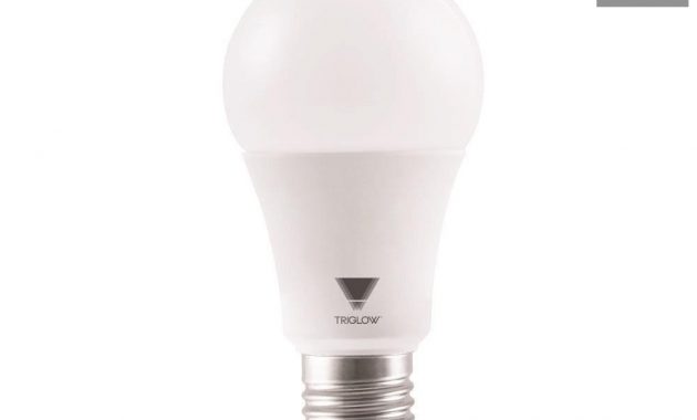 Triglow 100 Watt Equivalent A19 Dimmable 1600 Lumen Ul Listed And with regard to size 1000 X 1000