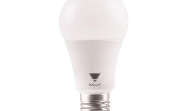 Triglow 100 Watt Equivalent A19 Dimmable 1600 Lumens Ul Listed And throughout proportions 1000 X 1000