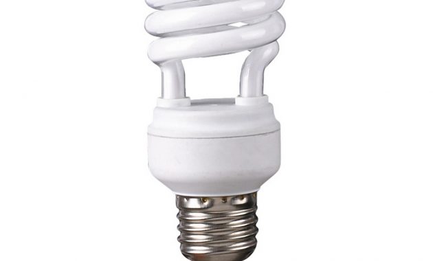 Type R Light Bulb E17 Light Bulb Design inside size 1000 X 1000