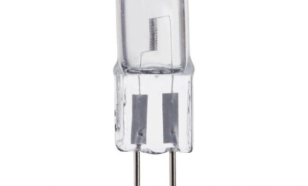 Type T Light Bulb 20 Watt 120 Volt Light Bulb in measurements 1000 X 1000