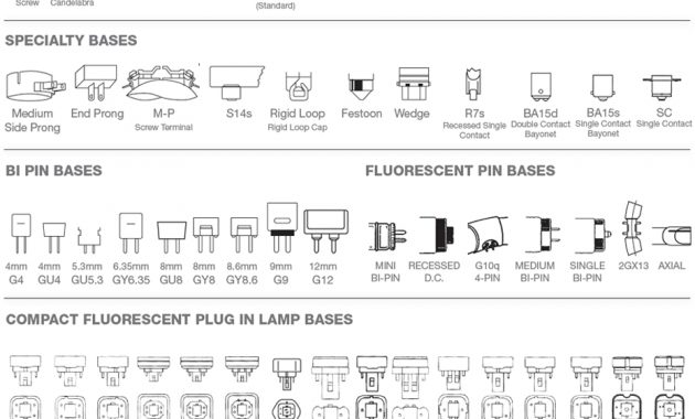 Types Of Halogen Light Bulb Bases Light Bulb with sizing 930 X 934