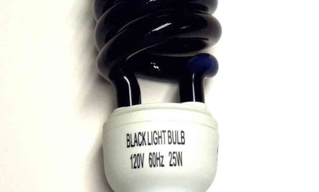 Uv Black Light Bulbs R Jesse Lighting within proportions 1292 X 1587
