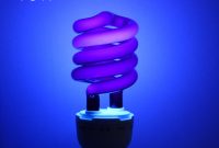 Uv Led Black Light Bulbs Led Lights Decor regarding size 1000 X 1000