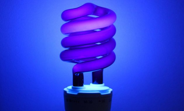 Uv Led Black Light Bulbs Led Lights Decor regarding size 1000 X 1000