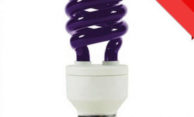 Uv Light Blacklight Bulb Perfect For Standard Bulb Fittings in measurements 1000 X 1330