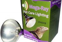 Uvb Uva Mercury Vapor Bulbs For Reptiles with measurements 950 X 950