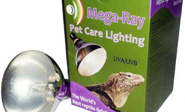 Uvb Uva Mercury Vapor Bulbs For Reptiles with measurements 950 X 950