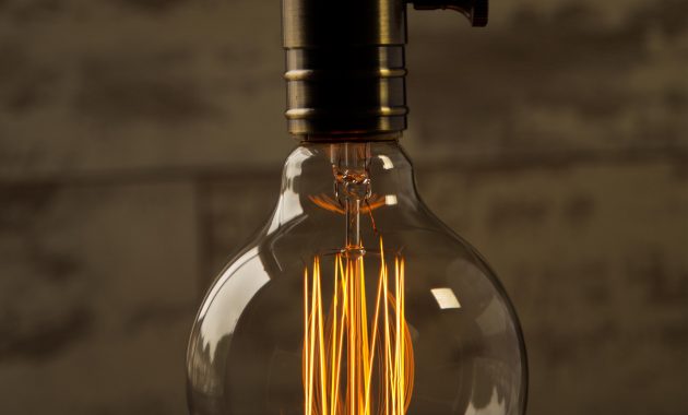 Vintage Light Bulbs Special Handmade Edison Filament Bulbs pertaining to sizing 3543 X 4252