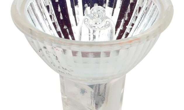 Westinghouse 20 Watt Halogen Mr11 Low Voltage Gu4 Base Narrow Flood for proportions 1000 X 1000