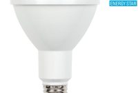 Westinghouse 75 Watt Equivalent Cool White Par30 Dimmable Led Flood throughout dimensions 1000 X 1000