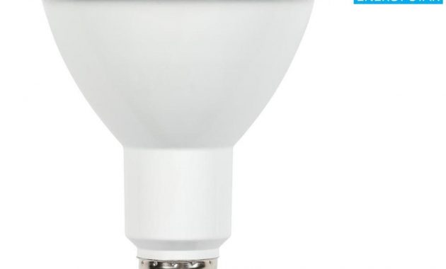 Westinghouse 75 Watt Equivalent Cool White Par30 Dimmable Led Flood throughout dimensions 1000 X 1000