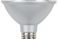 Westinghouse 75w Equivalent Cool Bright Par30 Dimmable Led Flood in dimensions 1000 X 1000