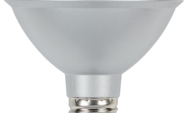 Westinghouse 75w Equivalent Cool Bright Par30 Dimmable Led Flood in dimensions 1000 X 1000