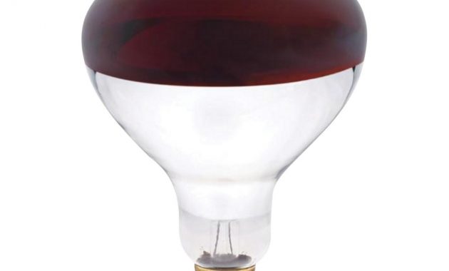 Westinghouse Satco Incandescent Light Bulb 250 Watts Medium Base in sizing 1305 X 1305