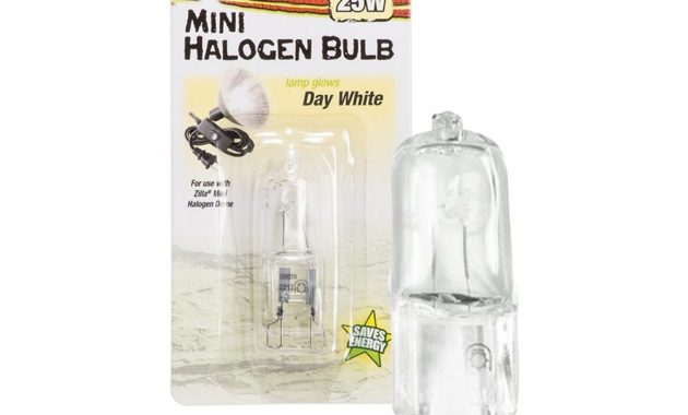 Zilla Mini Halogen Bulb Day White Underground Reptiles regarding size 1000 X 855