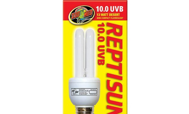 Zoomed Zoomed Reptile Light Bulbs Fields Petcare with regard to proportions 1024 X 1024