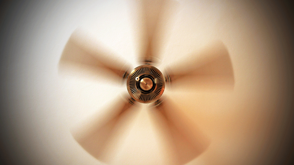 Ask Lh Whats The Deal With Ceiling Fan Speeds Lifehacker Australia throughout proportions 1200 X 675