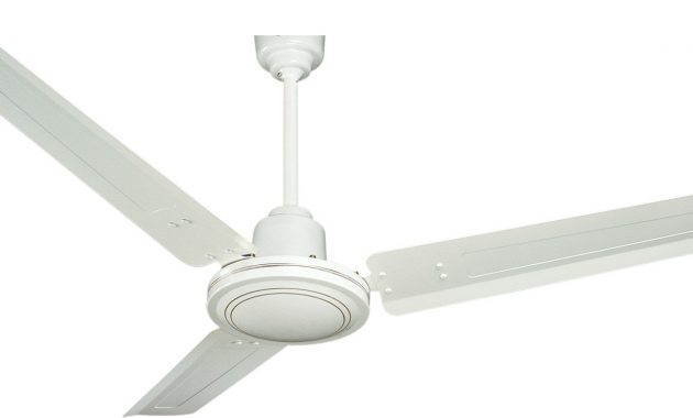 Capricorn 56 Inch Ceiling Fan Anangmananglk Best Products For inside sizing 1700 X 779