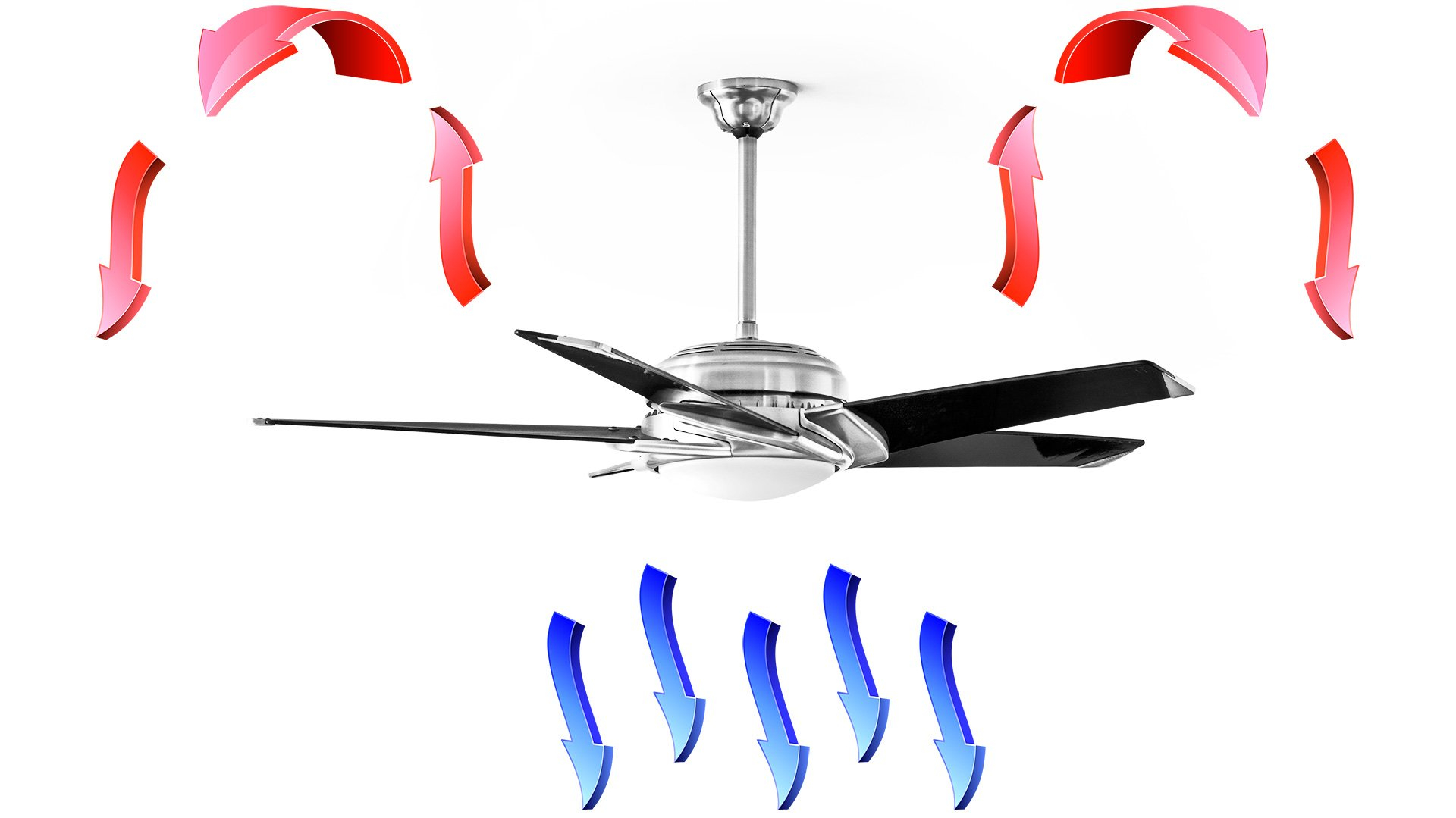 Ceiling Fan Rotation • Bulbs Ideas