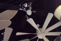 Ceiling Fans At A Ferguson Showroom Fanimation Minka Aire inside proportions 1280 X 720