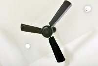 Coorparoo Brisbane Matt Black Hunter Pacific Ceiling Fans with regard to proportions 2000 X 1328