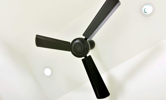 Coorparoo Brisbane Matt Black Hunter Pacific Ceiling Fans with regard to proportions 2000 X 1328