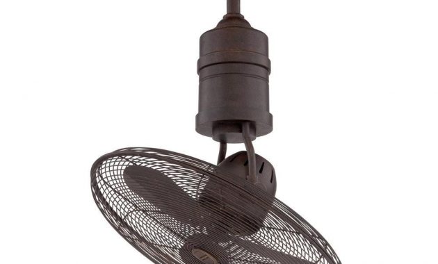 Craftmade Bellows Iii 21 Rotating Cage Ceiling Fan With Blades with regard to proportions 1000 X 1001