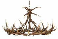 Deer Antler Ceiling Fan Light Kit Cabin Antler Chandelier Elk inside dimensions 5104 X 5104