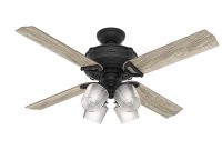 Hunter Brunswick 52 In Led Indoor Natural Iron Ceiling Fan With inside size 1000 X 1000