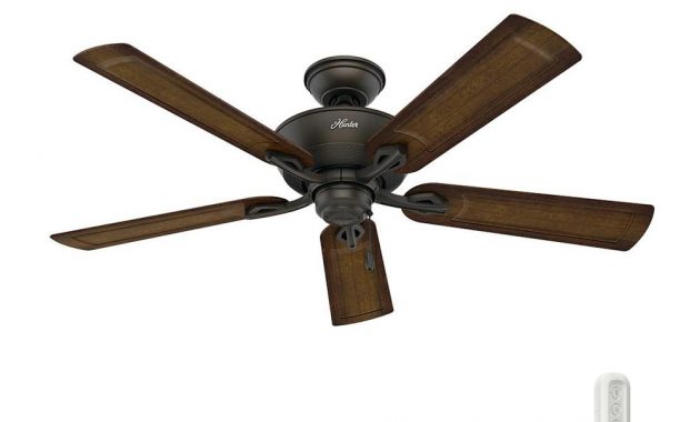 Hunter Caicos 52 In Indooroutdoor New Bronze Wet Rated Ceiling Fan with dimensions 1000 X 1000