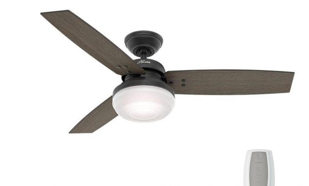 Hunter Camino 48 In Indoor Weathered Zinc Oak Ceiling Fan With for measurements 1000 X 1000