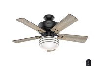 Hunter Cedar Key 44 In Indooroutdoor Matte Black Ceiling Fan With pertaining to proportions 1000 X 1000