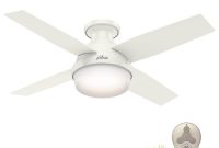 Hunter Dempsey 44 In Low Profile Led Indoor Fresh White Ceiling Fan inside size 1000 X 1000