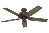 Hunter Donegan 52 In Indooroutdoor Onyx Bengal Bronze Ceiling Fan regarding proportions 1000 X 1000