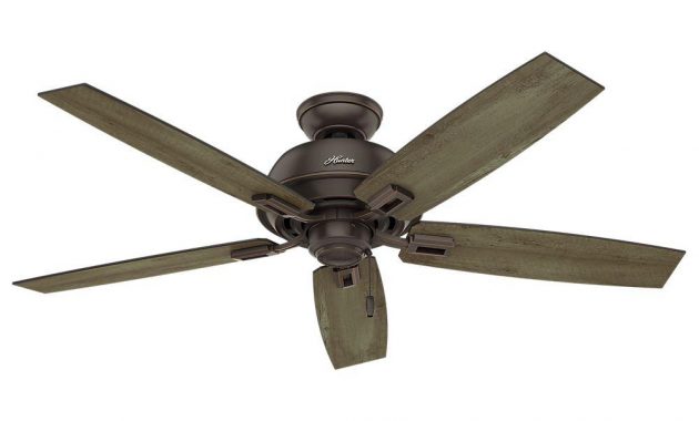 Hunter Donegan 52 In Indooroutdoor Onyx Bengal Bronze Ceiling Fan regarding proportions 1000 X 1000