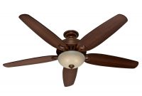 Hunter Fan Company 70 In Castleton Indoor 5 Blade Ceiling Fan for proportions 900 X 900