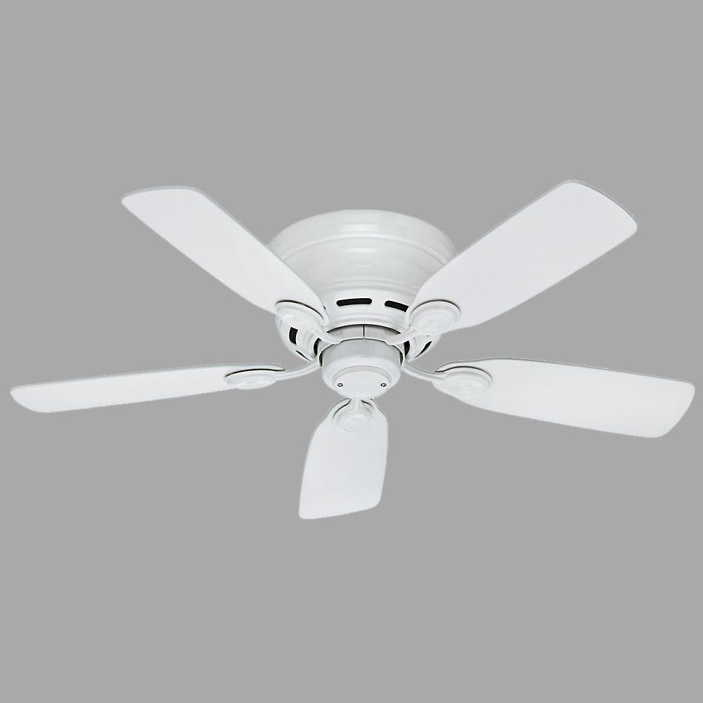 Hunter Low Profile 42 In Indoor Snow White Ceiling Fan 51059 The with regard to proportions 1000 X 1000