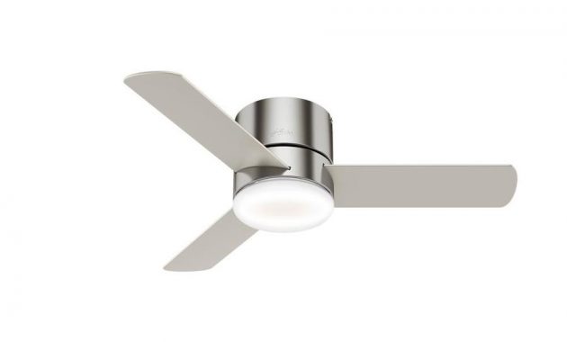 Hunter Minimus Led Super Low Profile 44 In Brushed Nickel Indoor with dimensions 900 X 900