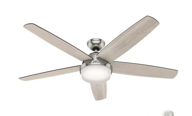 Hunter Salido 60 In Led Indoor Brushed Nickel Ceiling Fan With intended for dimensions 1000 X 1000