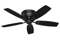 Hunter Sea Wind 48 In Indooroutdoor Matte Black Ceiling Fan 53118 intended for size 1000 X 1000