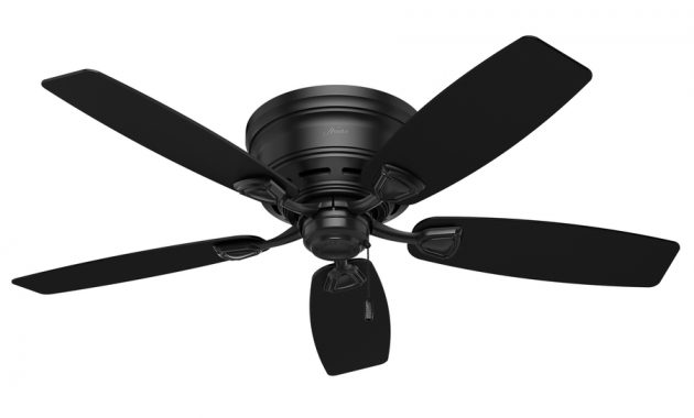 Hunter Sea Wind 48 In Matte Black Indooroutdoor Flush Mount Ceiling intended for sizing 900 X 900