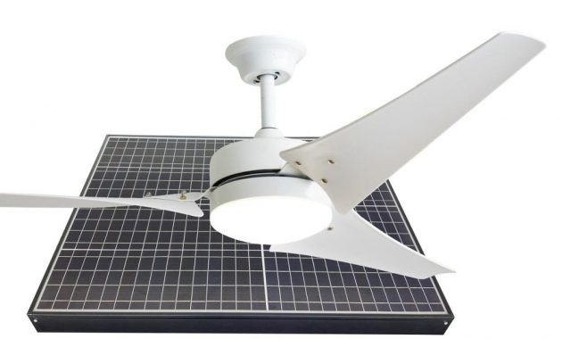 Orient Style 60 Inch 40 Watt Bldc Giant Solar Ceiling Fan With Light throughout size 1000 X 793