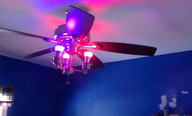 Philips Hue Ceiling Fan Light inside size 1280 X 720