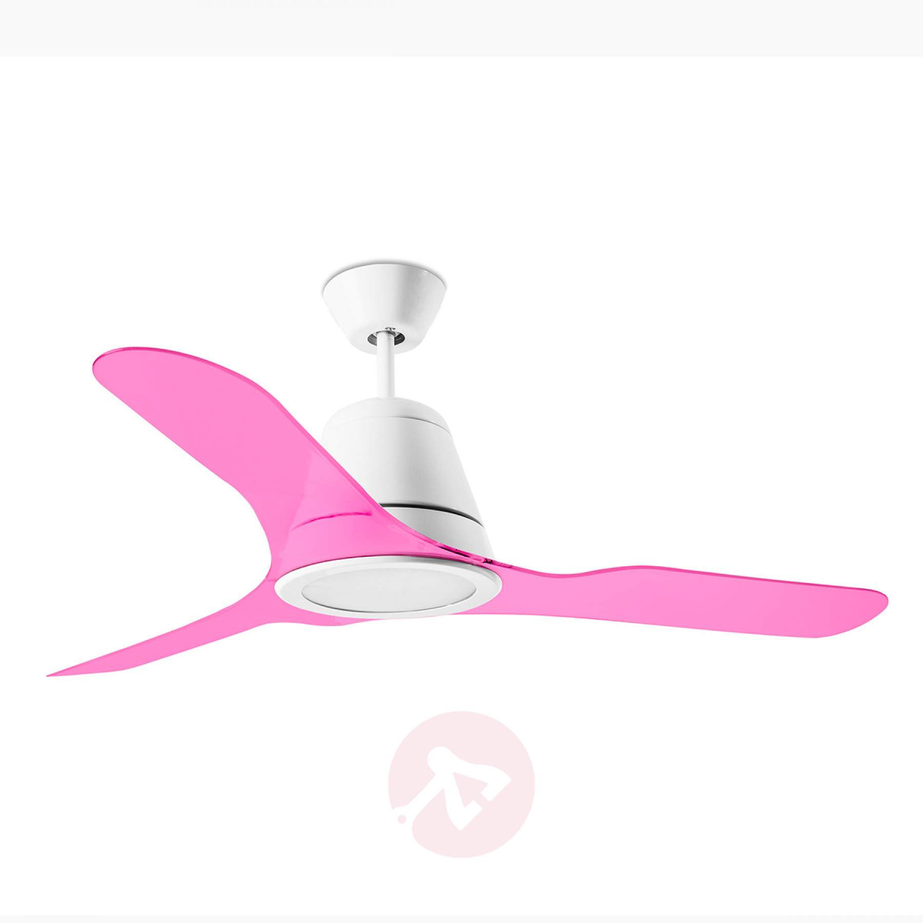 Pink Blades For The Tiga Ceiling Fan Lightscouk within sizing 1800 X 1800